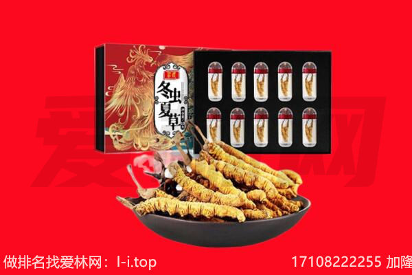 重庆巴南区回收虫草.jpg